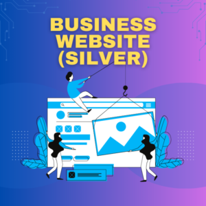 Business Website (Silver)